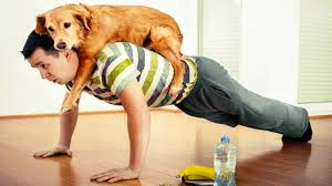 doggy pushup