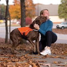 dogs help stay active pic