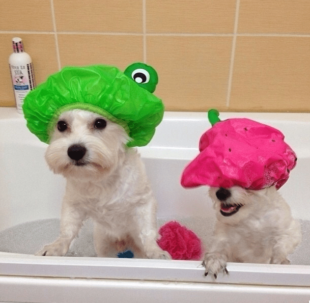 Screenshot 2016-05-28 at 9.14.28 PM