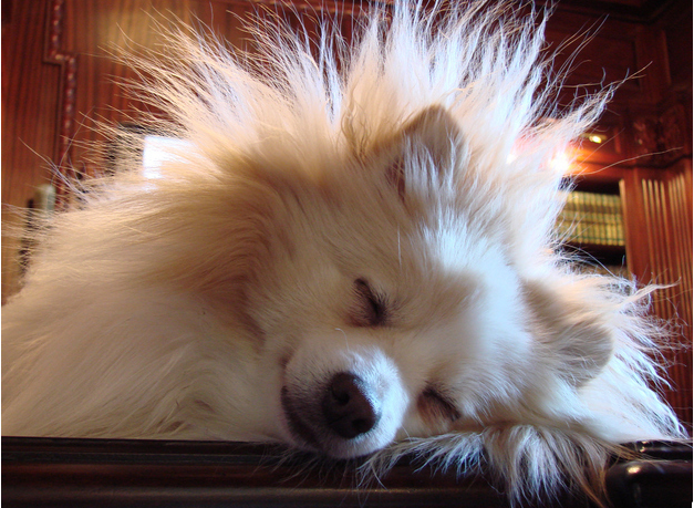 Screenshot 2016-05-28 at 9.15.19 PM