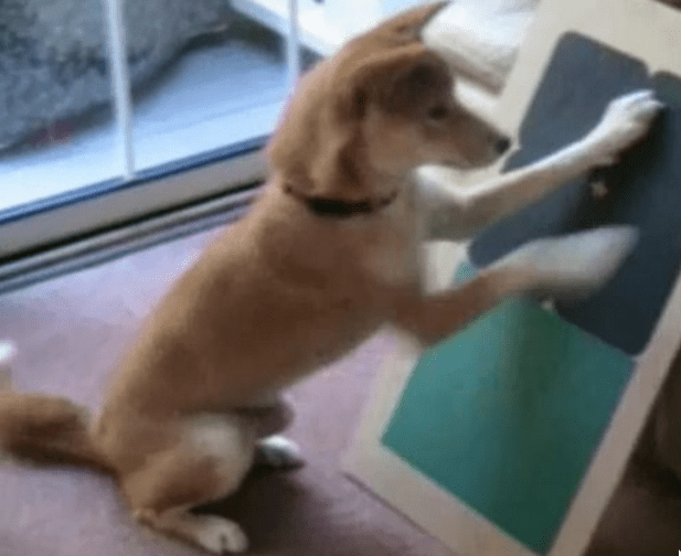 Screenshot 2016-05-28 at 9.17.44 PM