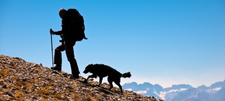 5-best-dogs-for-hiking-companions_outdoor_lead-image-1024x462