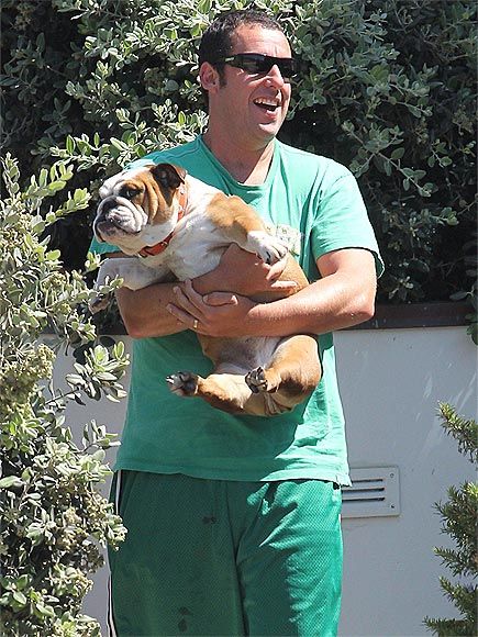 adam sandler and meatball