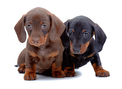 shutterstock_143093029