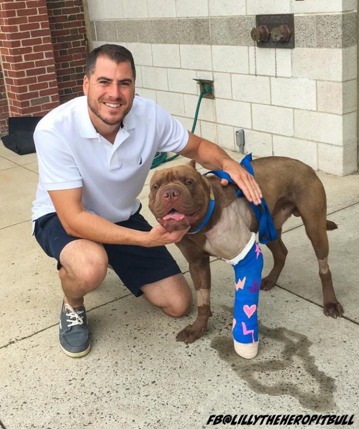 14051645_974773415979017_6811270515049598079_n