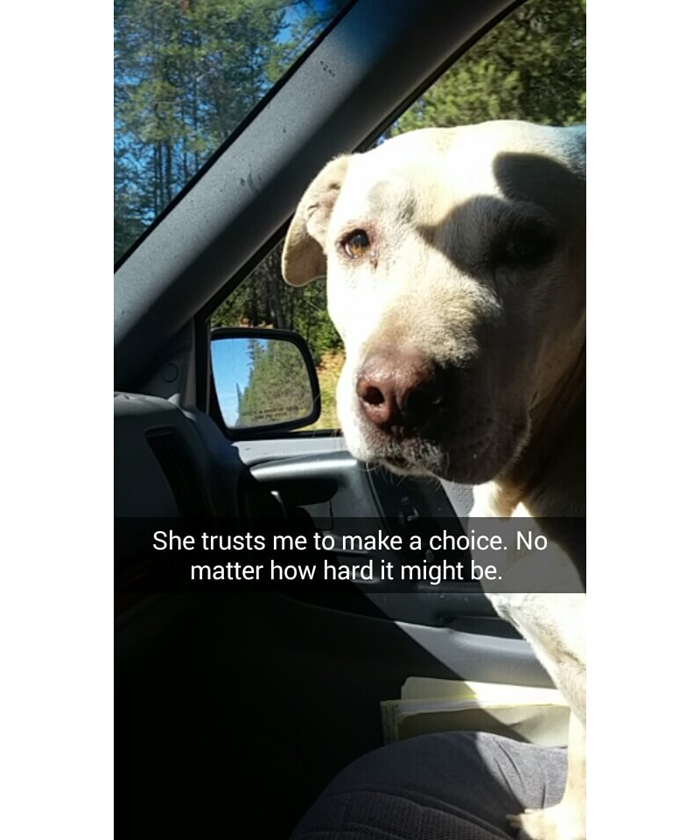 282354034_1472379764