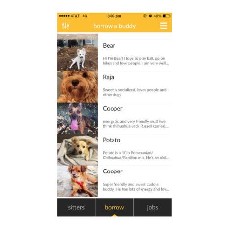 3053727-slide-s-1-if-your-apartment-doesnt-allow-dogs-now-you-can-borrow-one