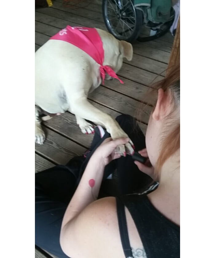 347226677_1472379764