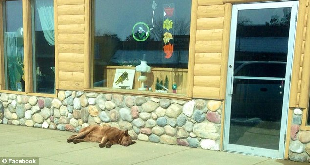 37956A0200000578-3758872-image-a-9_1472154278821