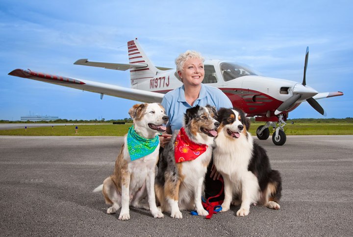 54ebe86bf3473_-_wd-pilot-with-dogs-xl
