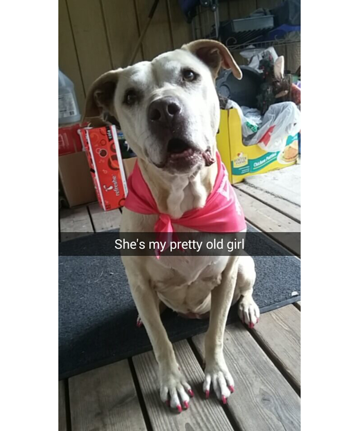 645528513_1472379764