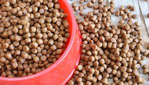 dog-food-2