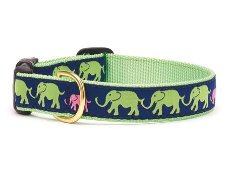 dog collar 1