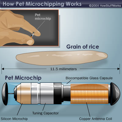 microchip 1